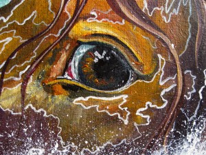Horses eye painting